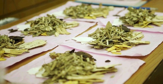 農藥殘留檢測儀在中藥材領域的應用