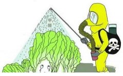 農藥殘留檢測儀器保障餐桌上的安全