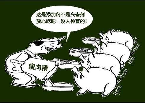 土雞蛋一天攝入多少合適? 土雞蛋一天攝入多少合適?