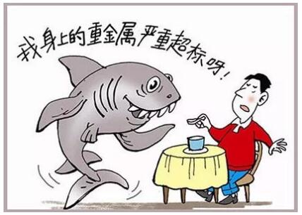 食品檢測(cè)儀