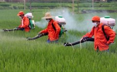 為什么要選用農藥殘留檢測儀檢測農殘?