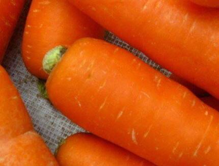 農藥殘留速測儀 農藥殘留速測儀