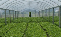 農殘檢測儀的積極作用以及廠家選擇？