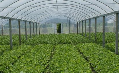 農藥殘留檢測儀