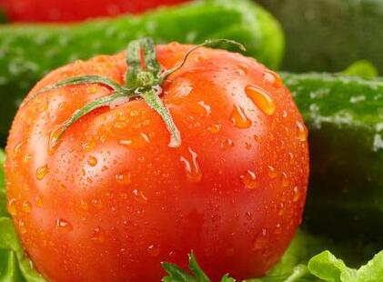 農殘快速檢測儀 農殘快速檢測儀