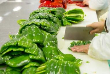 食品安全檢測儀 食品安全檢測儀