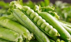 農殘儀器提高消費者購買信心