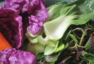 農藥殘留檢測儀