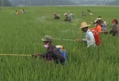 你了解農藥殘留檢測儀的特點嗎？